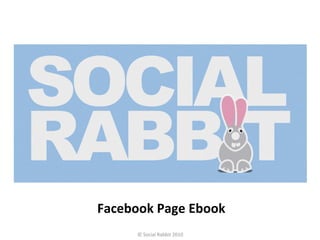 Facebook Page Ebook
     © Social Rabbit 2010
 