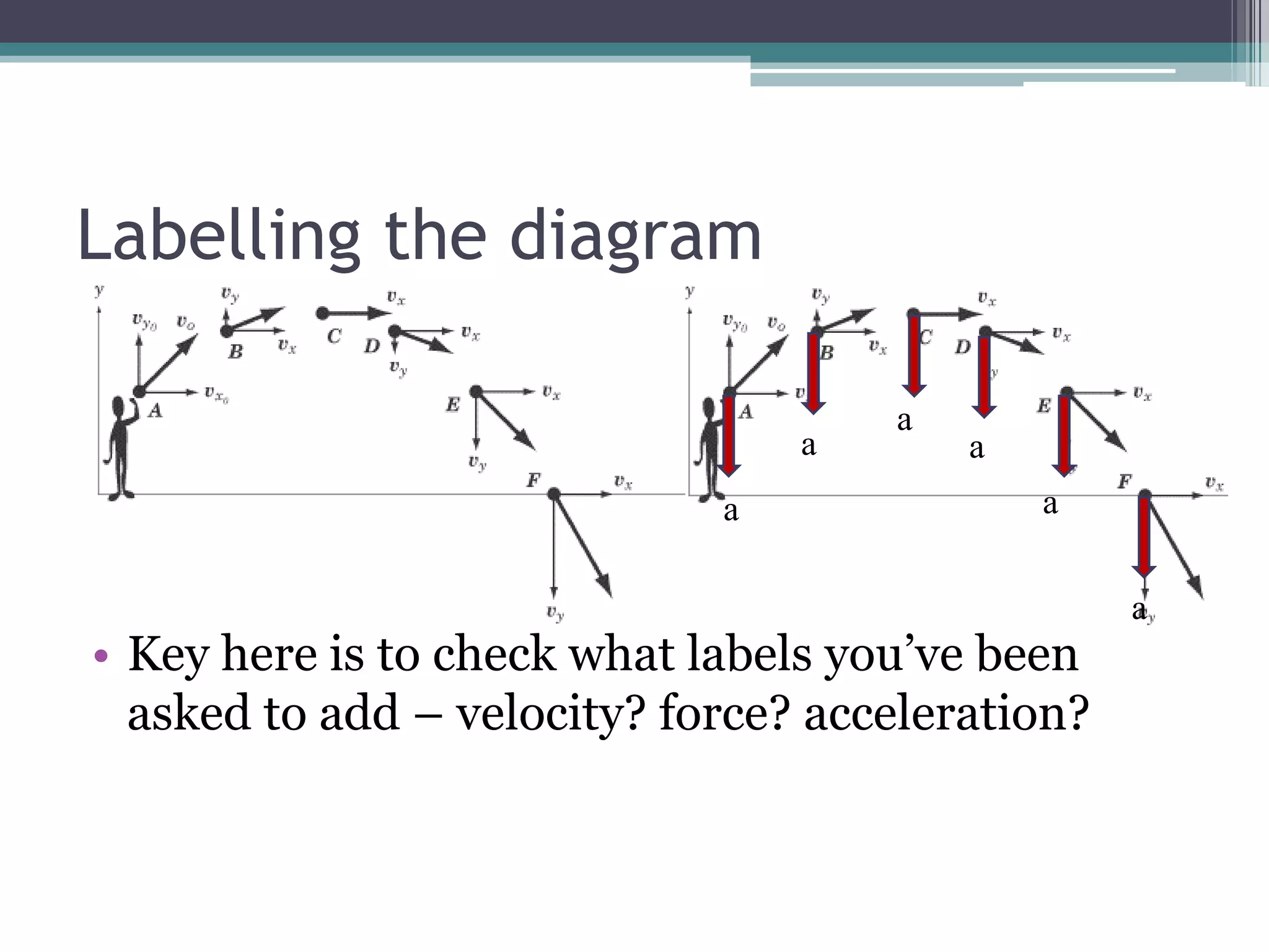 Labelling the diagramaaaaaaKey here is to check what labels you’ve been asked to add – velocity? force? acceleration?
