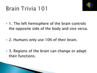 1. The left hemisphere of the brain controls the opposite side of the body and vice versa. 2. Humans only use 10% of their brain. 3. Regions of the brain can change or adapt their functions. 