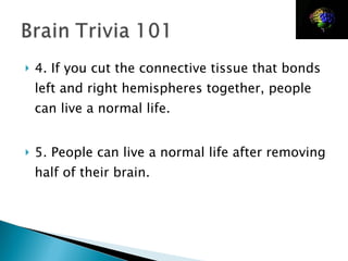4. If you cut the connective tissue that bonds left and right hemispheres together, people can live a normal life. 5. People can live a normal life after removing half of their brain. 