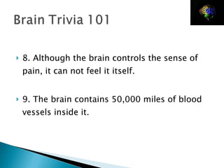 8. Although the brain controls the sense of pain, it can not feel it itself. 9. The brain contains 50,000 miles of blood vessels inside it. 