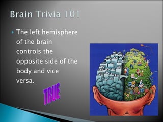 The left hemisphere of the brain controls the opposite side of the body and vice versa. TRUE 