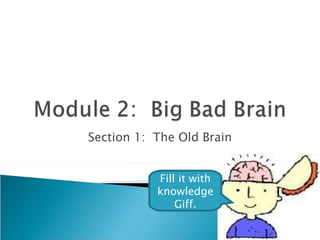Section 1:  The Old Brain Fill it with knowledge Giff. 