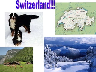 Switzerland!!! 