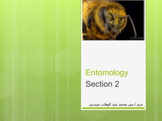 Entomology
Section 2
‫م‬.‫م‬/‫عيسي‬ ‫الوهاب‬ ‫عبد‬ ‫محمد‬ ‫مي‬
 