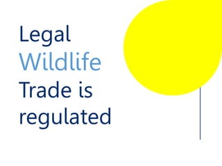 Legal
Wildlife
Trade is
regulated
 