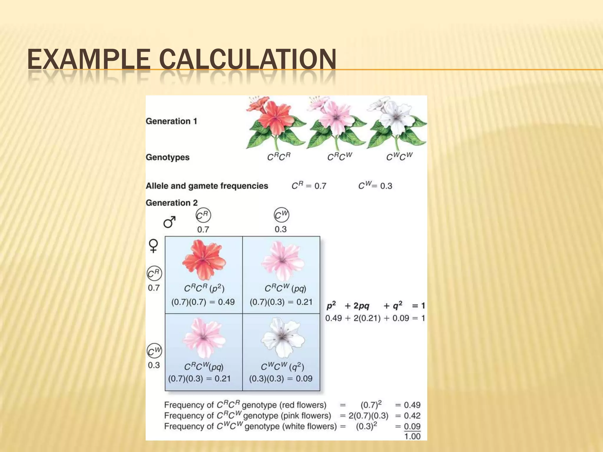 EXAMPLE CALCULATION
 
