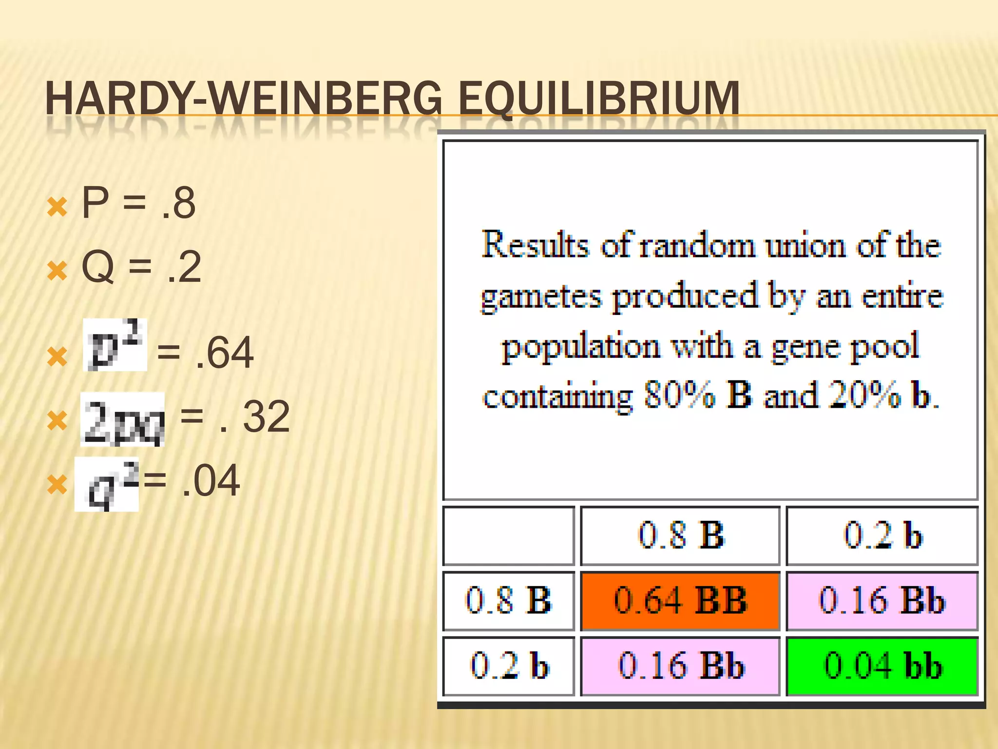 HARDY-WEINBERG EQUILIBRIUM

 P = .8
 Q = .2

   =    = .64
         = . 32
       = .04
 