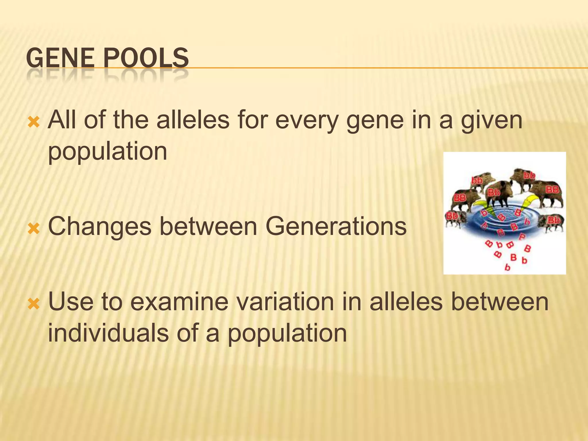GENE POOLS

   All of the alleles for every gene in a given
    population

   Changes between Generations

   Use to examine variation in alleles between
    individuals of a population
 