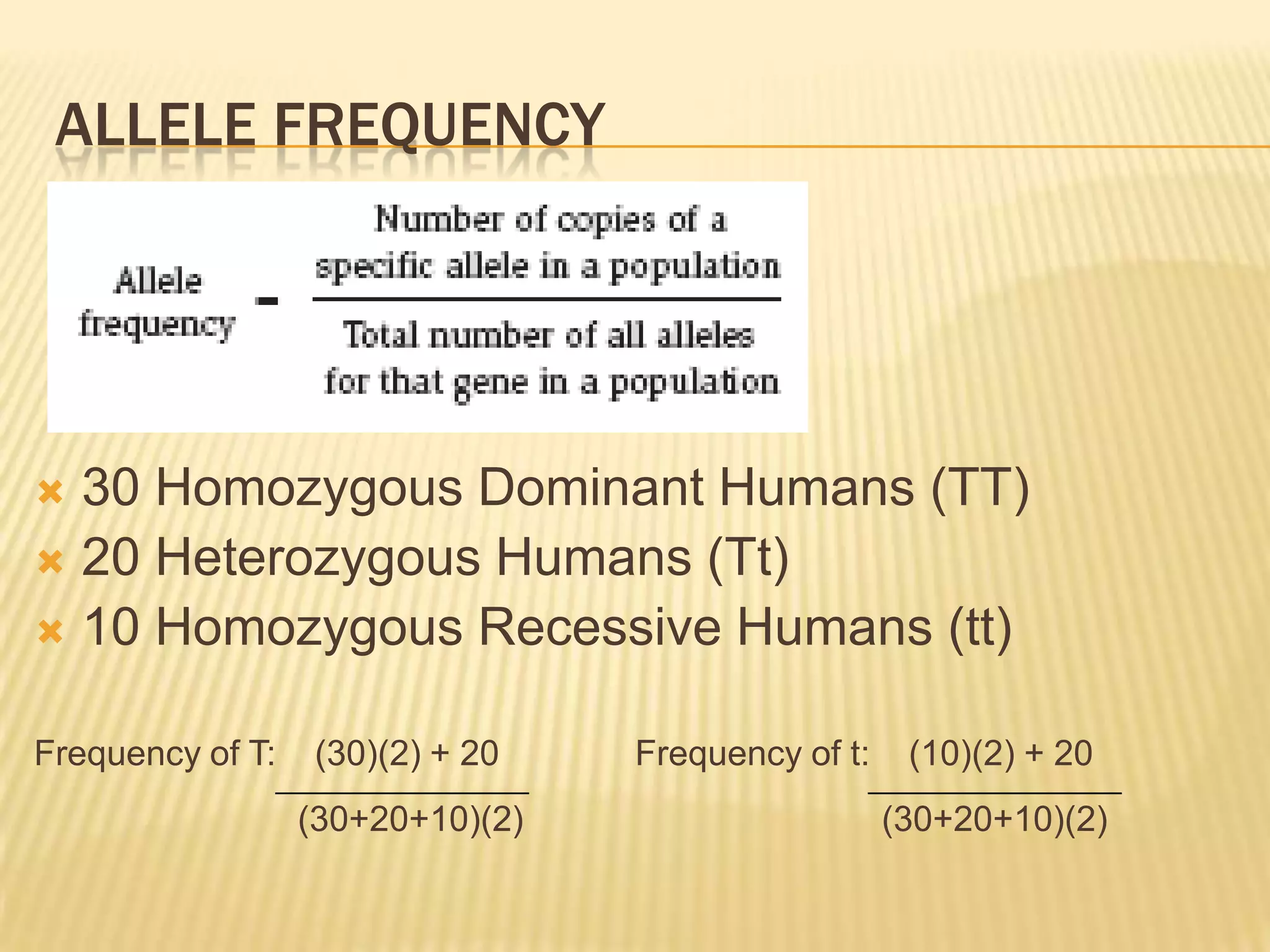 ALLELE FREQUENCY




 30 Homozygous Dominant Humans (TT)
 20 Heterozygous Humans (Tt)
 10 Homozygous Recessive Humans (tt)


Frequency of T:   (30)(2) + 20    Frequency of t:    (10)(2) + 20
                  (30+20+10)(2)                     (30+20+10)(2)
 