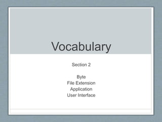 Vocabulary
Section 2
Byte
File Extension
Application
User Interface
 