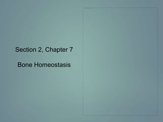 Section 2, Chapter 7
Bone Homeostasis

 