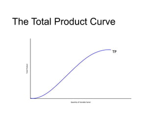 The Total Product Curve