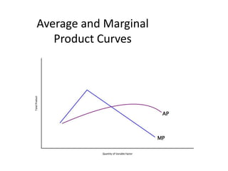 Average and Marginal Product Curves