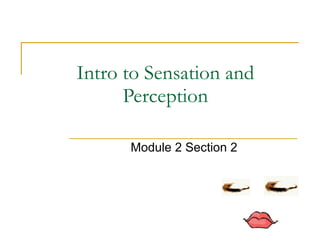 Intro to Sensation and Perception Module 2 Section 2 