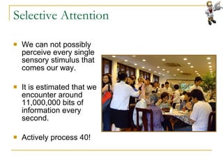 Section 2 Senses And Perception | PPT