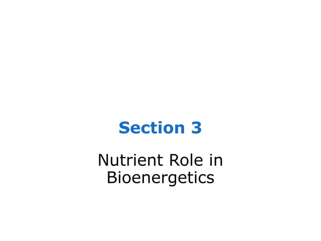 Section+3+bioenergetics (1) | PPT