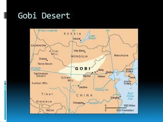 Gobi Desert
 