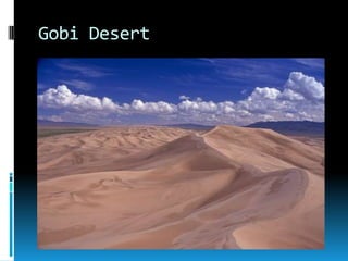 Gobi Desert
 
