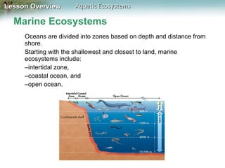 Marine Ecosystems Oceans are divided into zones based on depth and distance from shore. Starting with the shallowest and closest to land, marine ecosystems include: intertidal zone,  coastal ocean, and  open ocean. 