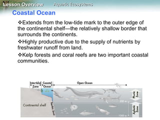 Coastal Ocean  Extends from the low-tide mark to the outer edge of the continental shelf—the relatively shallow border that surrounds the continents.  Highly productive due to the supply of nutrients by freshwater runoff from land.  Kelp forests and coral reefs are two important coastal communities. 