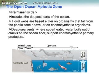 The Open Ocean Aphotic Zone  Permanently dark  includes the deepest parts of the ocean. Food webs are based either on organisms that fall from the photic zone above, or on chemosynthetic organisms.  Deep-sea vents, where superheated water boils out of cracks on the ocean floor, support chemosynthetic primary producers. 