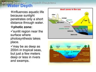 Water Depth  influences aquatic life because sunlight penetrates only a short distance through water. photic zone:  sunlit region near the surface where photosynthesis takes place. may be as deep as 200m in tropical seas, but just a few meters deep or less in rivers and swamps. 