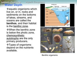 Water Depth  aquatic organisms which live on, or in, rocks and sediments on the bottoms of lakes, streams, and oceans are called the  benthos , and their habitat is the  benthic zone .  When the benthic zone is below the photic zone,  chemosynthetic autotrophs  are the only primary producers. Types of organisms depend on the nutrients available. Benthic organisms 