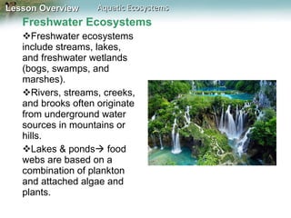 Freshwater Ecosystems Freshwater ecosystems include streams, lakes, and freshwater wetlands (bogs, swamps, and marshes). Rivers, streams, creeks, and brooks often originate from underground water sources in mountains or hills. Lakes & ponds   food webs are based on a combination of plankton and attached algae and plants. 