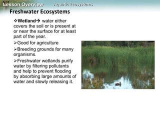 Wetland    water either covers the soil or is present at or near the surface for at least part of the year. Good for agriculture Breeding grounds for many organisms. Freshwater wetlands purify water by filtering pollutants and help to prevent flooding by absorbing large amounts of water and slowly releasing it. Freshwater Ecosystems 