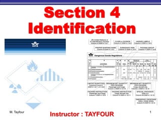 M. Tayfour 1
Instructor : TAYFOUR
Section 4
Identification
 