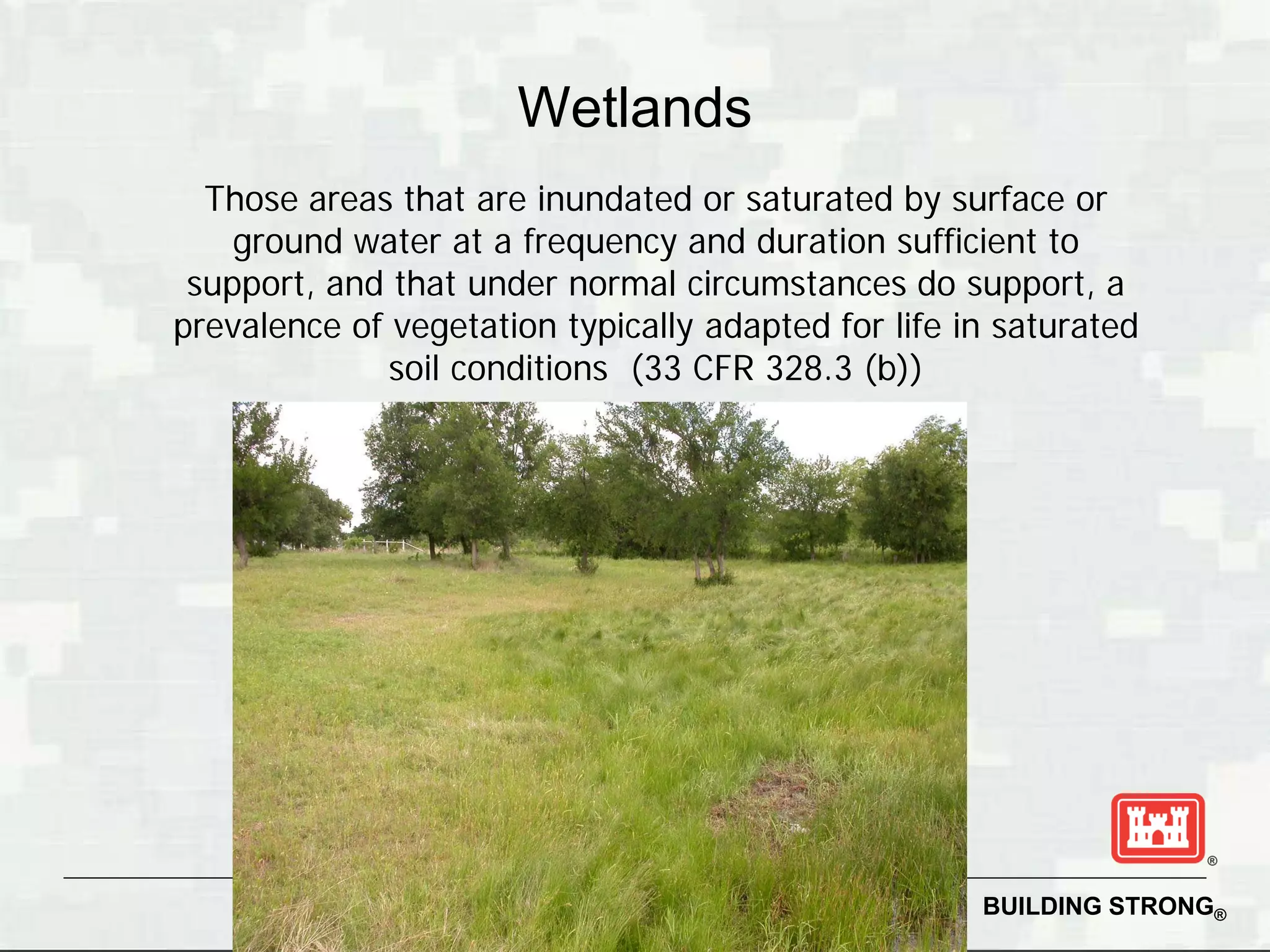 Wetlands
  Those areas that are inundated or saturated by surface or
    ground water at a frequency and duration sufficient to
 support, and that under normal circumstances do support, a
prevalence of vegetation typically adapted for life in saturated
              soil conditions (33 CFR 328.3 (b))




                                                     BUILDING STRONG®
 