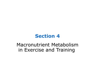 Section 4
Macronutrient Metabolism
in Exercise and Training
 