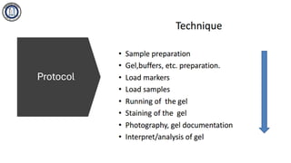 Gel electrophoresis technique in molecular biology | PDF