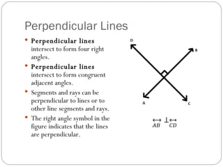 Perpendicular Lines Perpendicular lines  intersect to form four right angles. Perpendicular lines  intersect to form congruent adjacent angles. Segments and rays can be perpendicular to lines or to other line segments and rays. The right angle symbol in the figure indicates that the lines are perpendicular. 