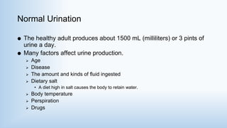 Normal Urination
 The healthy adult produces about 1500 mL (milliliters) or 3 pints of
urine a day.
 Many factors affect urine production.
 Age
 Disease
 The amount and kinds of fluid ingested
 Dietary salt
• A diet high in salt causes the body to retain water.
 Body temperature
 Perspiration
 Drugs
 