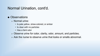 Normal Urination, cont'd.
 Observations
 Normal urine:
• Is pale yellow, straw-colored, or amber
• Is clear with no particles
• Has a faint odor
 Observe urine for color, clarity, odor, amount, and particles.
 Ask the nurse to observe urine that looks or smells abnormal.
 