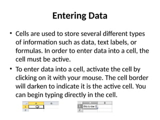Entering Data
• Cells are used to store several different types
of information such as data, text labels, or
formulas. In order to enter data into a cell, the
cell must be active.
• To enter data into a cell, activate the cell by
clicking on it with your mouse. The cell border
will darken to indicate it is the active cell. You
can begin typing directly in the cell.
 