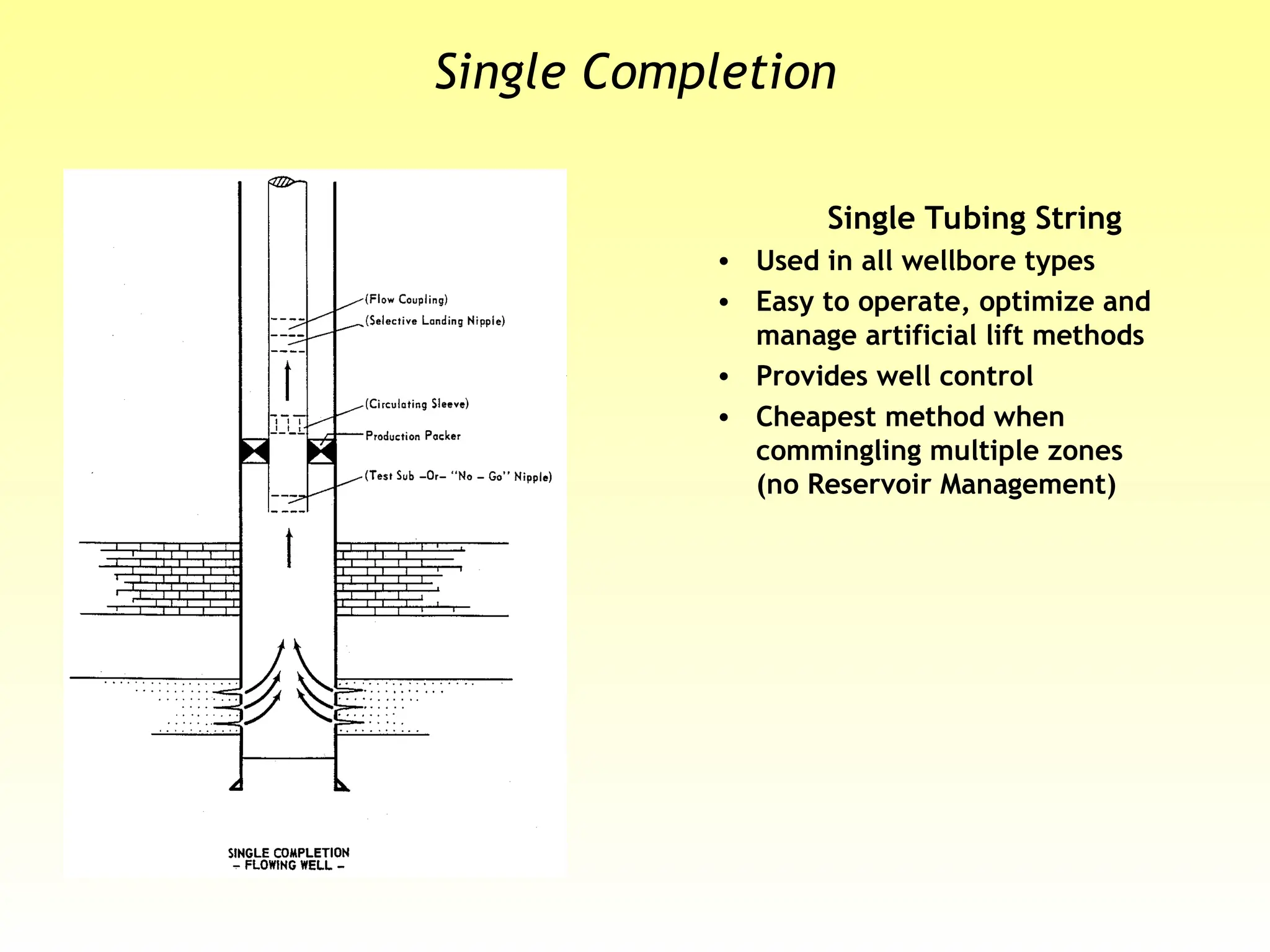 Single Completion
Single Tubing String
• Used in all wellbore types
• Easy to operate, optimize and
manage artificial lift methods
• Provides well control
• Cheapest method when
commingling multiple zones
(no Reservoir Management)
 