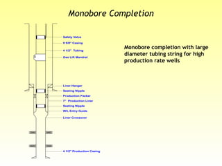 Monobore Completion
Monobore completion with large
diameter tubing string for high
production rate wells
Safety Valve
Seating Nipple
4 1/2" Tubing
Gas Lift Mandrel
9 5/8" Casing
Production Packer
7" Production Liner
4 1/2" Production Casing
Seating Nipple
W/L Entry Guide
Liner Crossover
Liner Hanger
 