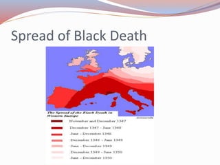 Spread of Black Death
 