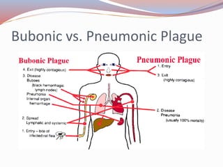 Bubonic vs. Pneumonic Plague
 