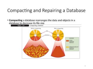 Section 6 - Database Management note CSEC | PPTX