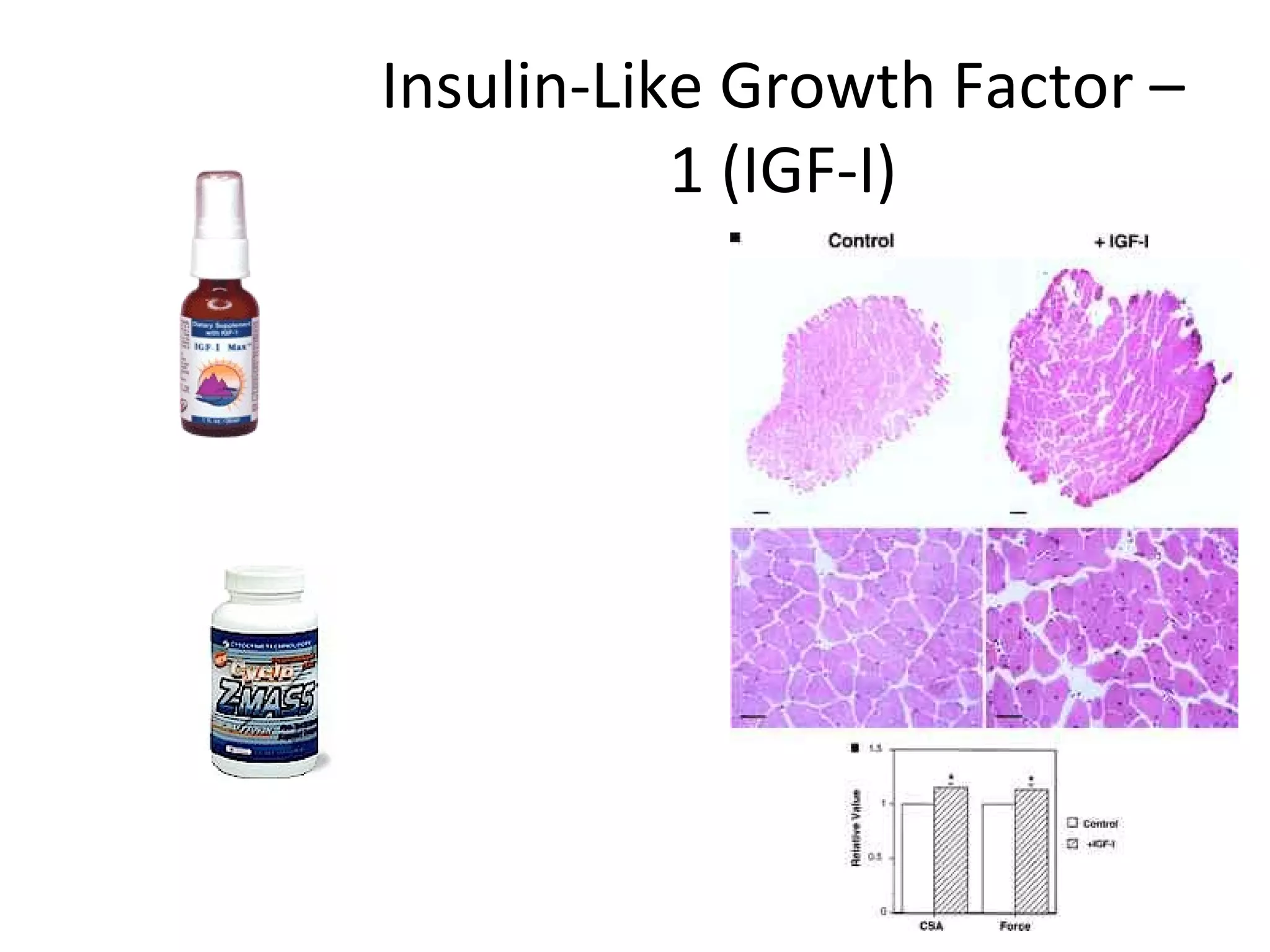 Insulin-Like Growth Factor –
           1 (IGF-I)
 