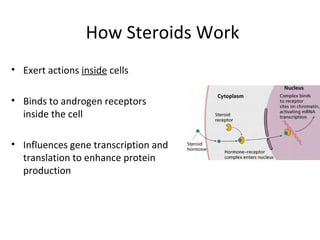 How Steroids Work
• Exert actions inside cells

• Binds to androgen receptors
  inside the cell

• Influences gene transcription and
  translation to enhance protein
  production
 