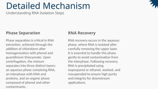 Rna Isolation Interphase Basic of molecular biology. Techniquesmm | PPTX