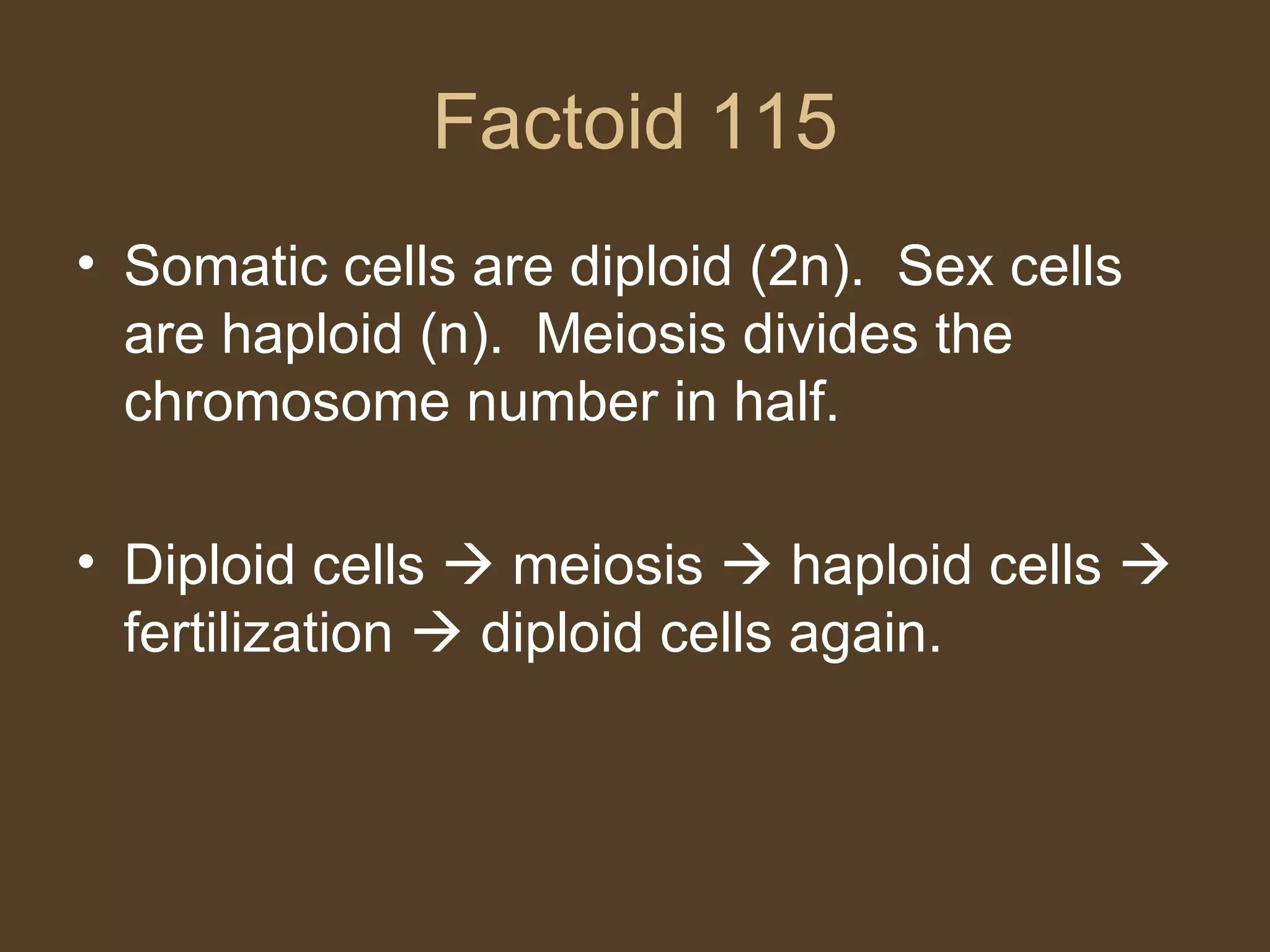 Factoid 115 Somatic cells are diploid (2n).  Sex cells are haploid (n).  Meiosis divides the chromosome number in half. Diploid cells    meiosis    haploid cells    fertilization    diploid cells again. 