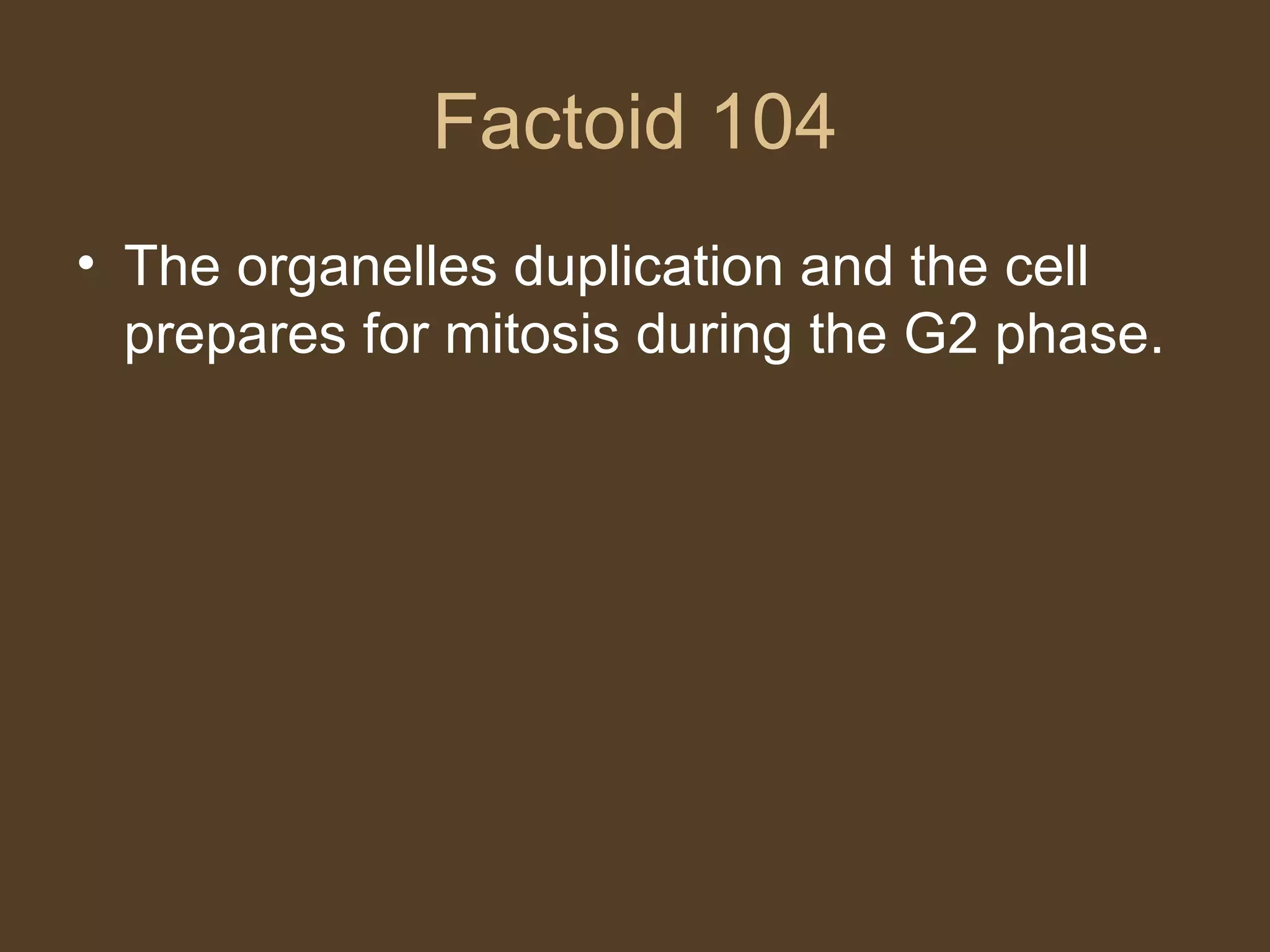 Factoid 104 The organelles duplication and the cell prepares for mitosis during the G2 phase. 