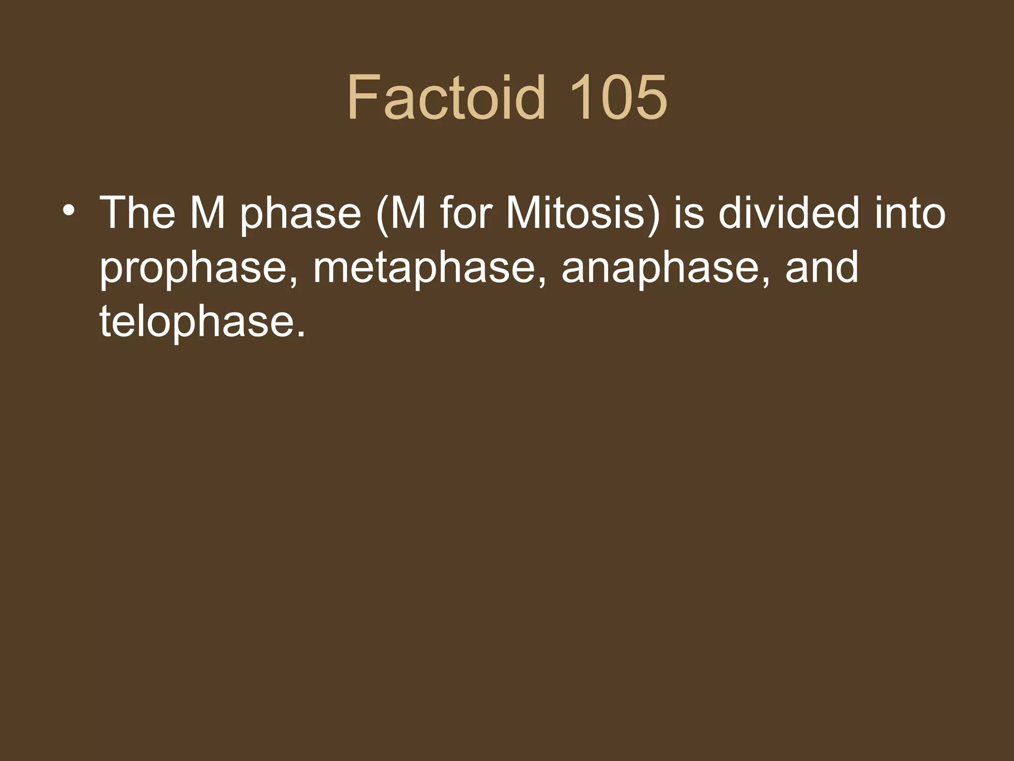 Factoid 105 The M phase (M for Mitosis) is divided into prophase, metaphase, anaphase, and telophase.  
