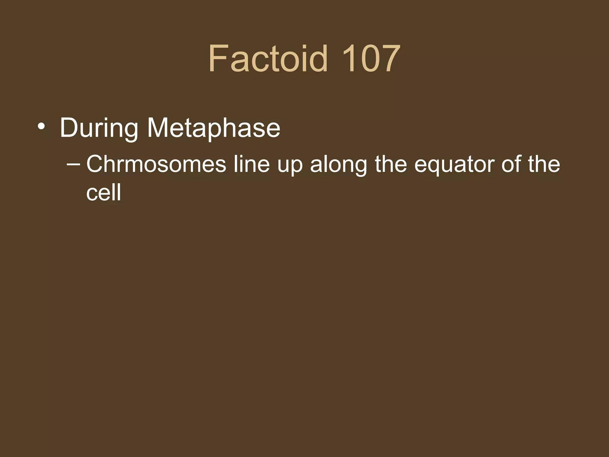 Factoid 107 During Metaphase Chrmosomes line up along the equator of the cell 